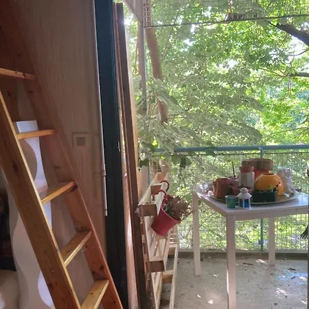 Grand studio avec balcon et parking