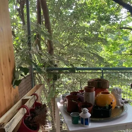 Grand Studio Avec Balcon Et Parking *